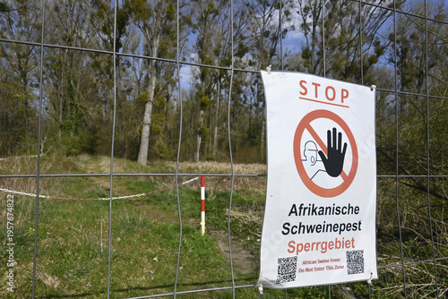 Wallpaper Mural afrikanische schweinepest Torontodigital.ca