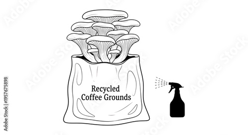 Sustainable Mushroom Growing Kit Illustration Featuring Oyster Mushrooms Sprouting from Recycled Coffee Grounds Substrate Bag with Spray Bottle Water Mist, Minimalist Black and White Vector Line Art.