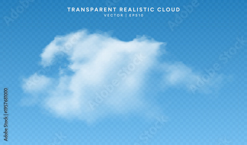 Realistic cloud isolated on a transparent background. Fluffy cloud with smooth, blurry edges and natural light. Realistic 3D cloud overlay effect. Vector