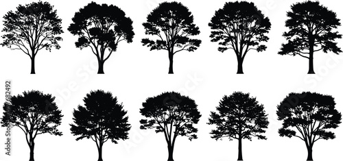 Black silhouettes of trees on white background
