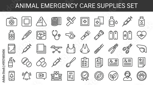 Collection of veterinary emergency care supplies and medical icons for animal health