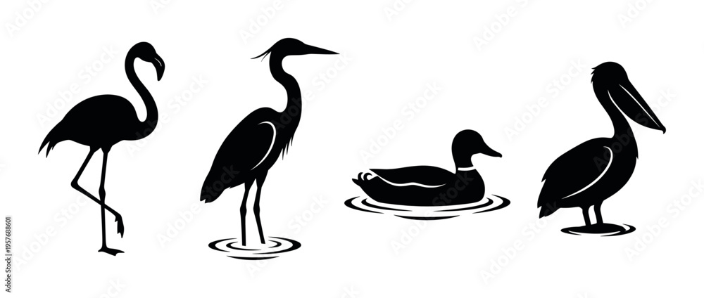 Naklejka premium Adobe Illustrator Artwork