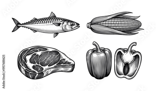 Adobe Illustrator Artwork