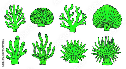 Collection of Green Coral and Sea Anemone Illustrations on White Background