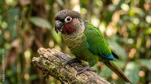 Vibrant green parrot on branch outdoors.