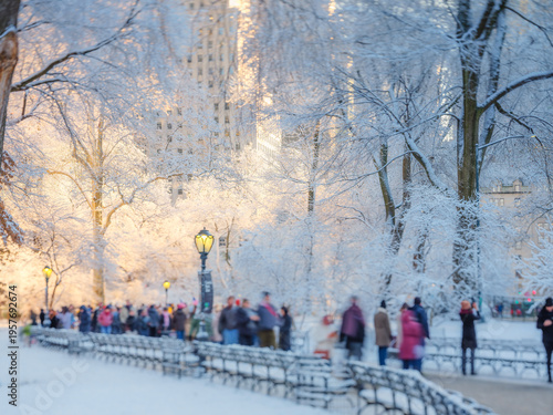 Wallpaper Mural Central Park after a snowstorm Torontodigital.ca