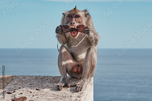 A monkey sits on a stone ledge at Uluwatu Temple in Bali holding a pair of sunglasses in its mouth. Tourists watch the playful scene against the ocean backdrop