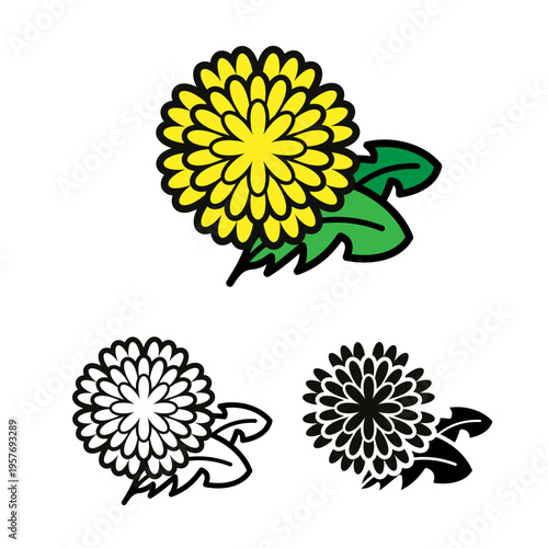Dandelion flower vector set featuring color, outline, and silhouette versions. Ideal for botanical designs, coloring books, stickers, and summer floral patterns