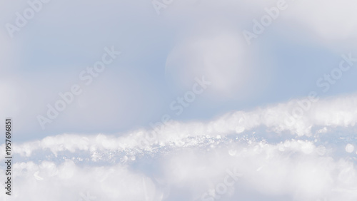 Soft winter light glints off delicate ice crystals.