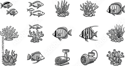 A collection of black and white illustrations of fish and coral reefs