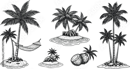A black and white illustration of various palm tree scenes