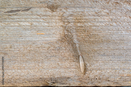 Weathered wooden surface with knot and subtle lichen, natural rustic texture with copy space, abstract organic background for design, eco and aged material concept