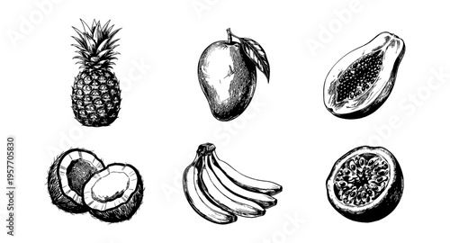 Hand-drawn collection of tropical fruits including pineapple, mango, papaya, coconut, bananas, and passion fruit