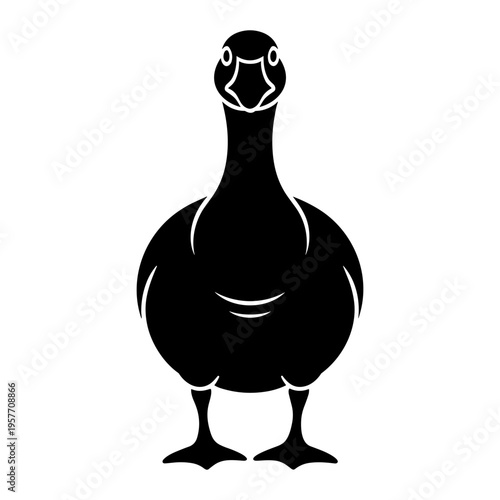 Goose Front View Illustration