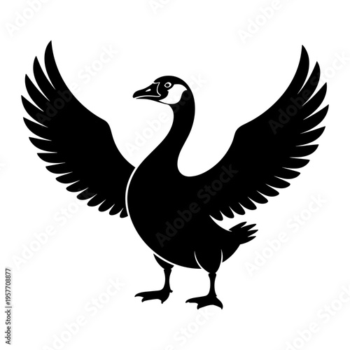 Goose Wings Spread Illustration