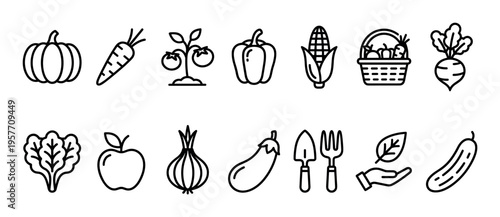 Set of black line art icons representing fresh vegetables, fruits, and gardening tools in a simple, minimalist outline style for agriculture and healthy eating concepts
