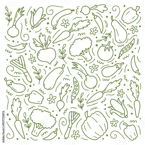 Set of green vegetable icons and illustrations vector