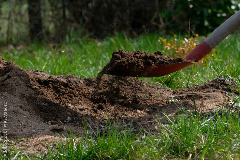 Fototapeta premium Gartenarbeit mit roter Schaufel beim Aufnehmen von Erde im Garten.