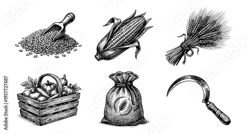 Collection of harvest illustrations including grains, vegetables, and tools