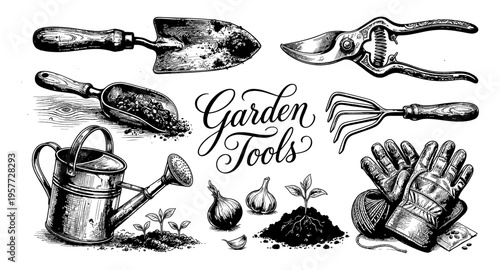 Vintage garden tools illustration with plants and vegetables for cultivation
