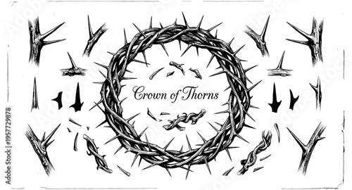 Intricate crown of thorns illustration with scattered thorns and branches