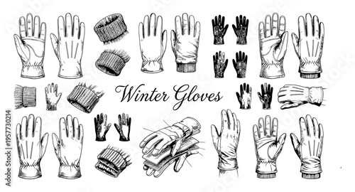 Collection of hand-drawn winter gloves and mittens in various styles and materials