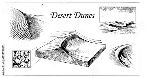 Detailed illustration of desert dune formation and sand grain composition