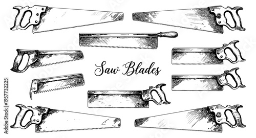 Collection of vintage hand saws and blades in a detailed sketch style