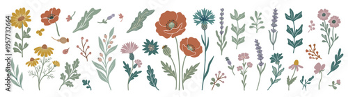 Collection of beautiful hand-drawn wildflowers and botanical elements, including poppies, cornflowers, and lavender, perfect for spring and summer designs, isolated on white.