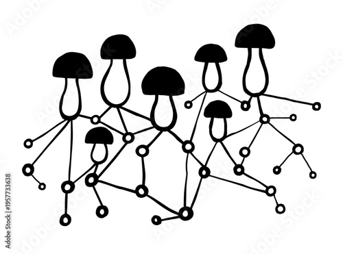 Porcini mushrooms mycelium. Ink black hand drawn line illustration on white background.