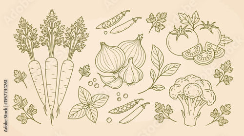 Vintage botanical sketch of assorted vegetables and herbs including carrots, garlic, onions, peppers, peas and leafy greens in a beige illustration