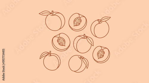 Hand-drawn peach outline illustrations on peach background, featuring whole and halved fruits in a minimal line-art style.