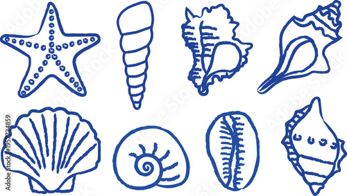 sea shells outline collection. set of seashell doodles. set of different types of marine molluscs in 
hand drawn style