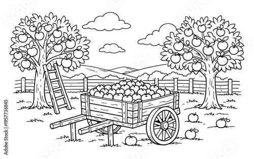 Harvesting apples from trees into a cart with a ladder and a fence in the background