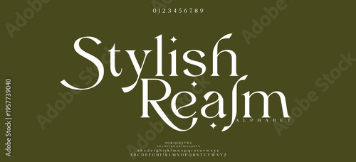 Stylish Realm Elegant alphabet letters font and number. Classic Lettering Minimal Fashion Designs. Typography modern serif fonts decorative vintage design concept. vector illustration