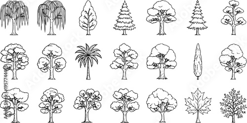 Set of Hand-Drawn Tree Illustrations. Diverse collection of various tree types including deciduous, coniferous, palm, and weeping willow sketches. Nature clip art pack.