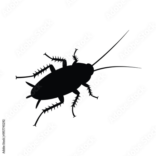 Silhouetted cockroach illustration against a plain white background
