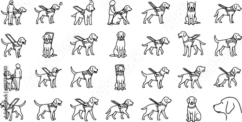 Service and Guide Dog Black and White Line Art Icons Collection - Disability Assistance, Animal Support, and Pet Training Vector Glyphs