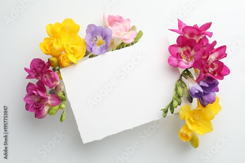 Beautiful freesia flowers and blank card on white background, top view