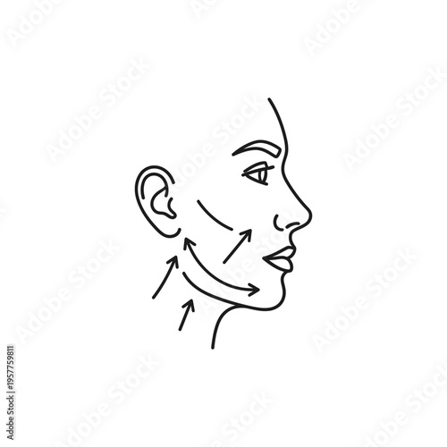 Facial Profile Illustration Showing Aging Signs and Wrinkles. Vector Illustrations. EPS Editable