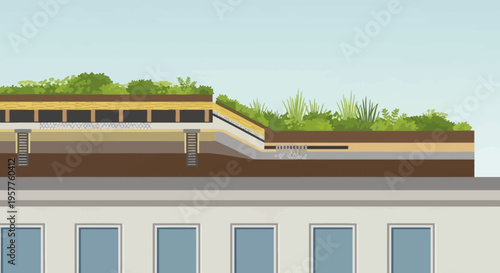 Cross Section Diagram of a Sustainable Green Roof System with Detailed Vegetation and Drainage Layers