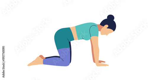 Woman performing cat pose in yoga kneeling posture. Vector Illustrations. EPS Editable