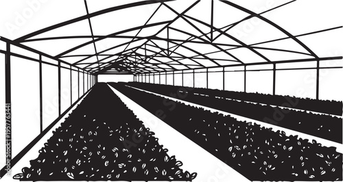 Large Greenhouse with Rows of Plants and Metal Framework