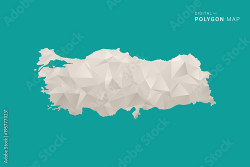 Turkey Map - Green and Gray Polygon Vector Illustration, Low Poly Geometric Design with Clean Minimal Style on Solid Background for Infographic Use.