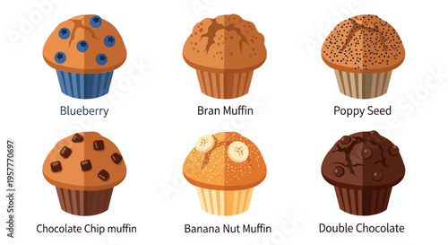 Six types of illustrated muffins Blueberry Bran Poppy Seed Chocolate Chip Banana Nut Double Chocolate