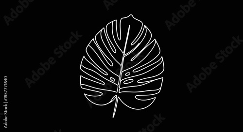 Monstera leaf outline illustration.