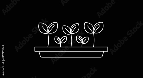 Simple line drawing of seedlings growing.