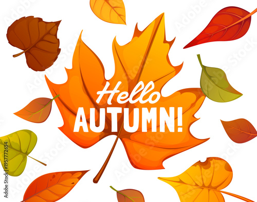 Hello Autumn banner with fall leaves and orange maple leaf vector background. Thanksgiving Day holiday and fall harvest festival poster with cartoon leaves of forest trees and Hello Autumn lettering