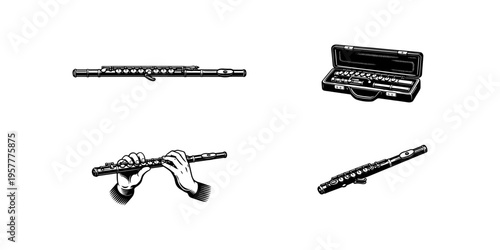 Collection of flute illustrations: instrument, case, and hands playing