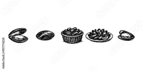 Collection of mussels in different presentations, from raw to cooked, in a vintage illustration style